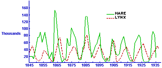 Lynx and snowshoe hare data