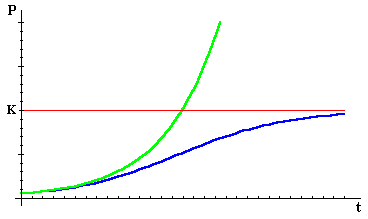 growth patterns