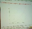 ws47.jpg