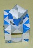 ws41.jpg