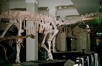 museum22.jpg (83055 bytes)