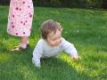 img013.jpeg.small.jpeg