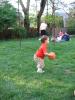 img019.jpeg.small.jpeg